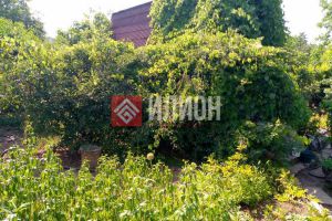 Продам земельный участок, г. Снт сапун-гора, Крым авт. респ., Россия, агентство Илион