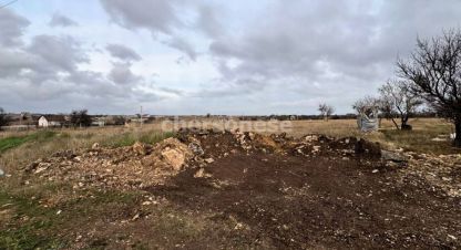 Купить земельный участок на улице Территория ст земляничка г. Урожайновское сельское поселение. Фотография №4 Купить земельный участок на улице Территория ст земляничка г. Урожайновское сельское поселение. Фотография №4