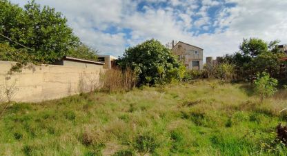 Купить земельный участок в г. Севастополь. Фотография №2 Купить земельный участок в г. Севастополь. Фотография №2