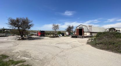 Купить офисное помещение в г. Севастополь. Фотография №3