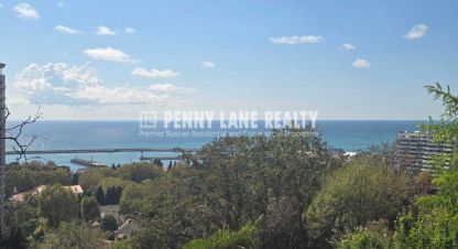 Купить земельный участок в г. Сочи. Фотография №2 Купить земельный участок в г. Сочи. Фотография №2