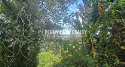 Купить земельный участок на улице Тоннельная г. Сочи. Фотография №5 Купить земельный участок на улице Тоннельная г. Сочи. Фотография №5