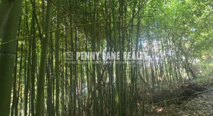 Продаётся земельный участок в г. Сочи. Фотография №7 Продаётся земельный участок в г. Сочи. Фотография №7