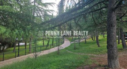 Купить земельный участок в г. Сочи. Фотография №3 Купить земельный участок в г. Сочи. Фотография №3