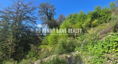 Купить земельный участок на улице Тоннельная г. Сочи. Фотография №4 Купить земельный участок на улице Тоннельная г. Сочи. Фотография №4