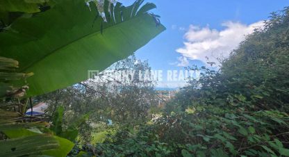 Купить земельный участок. Фотография №8 Купить земельный участок, Россия, г. Сочи. Фотография №8