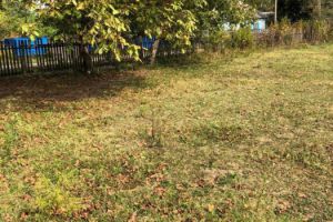 Продам земельный участок, на улице Советская ул, г. Абадзехская ст-ца, Адыгея респ., Россия, агентство Мореон Инвест Продам земельный участок, на улице Советская ул, г. Абадзехская ст-ца, Адыгея респ., Россия, агентство Мореон Инвест