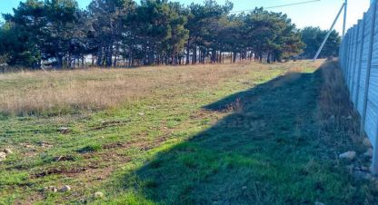 Купить земельный участок в г. Севастополь. Фотография №2 Купить земельный участок в г. Севастополь. Фотография №2