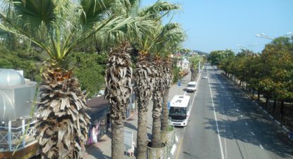 Купить квартиру на улице Курская (лазаревский) ул г. Сочи. Фотография №5 Купить квартиру на улице Курская (лазаревский) ул г. Сочи. Фотография №5