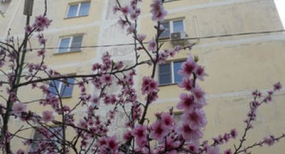 Купить 2-х комнатную квартиру в г. Сочи. Фотография №2 Купить 2-х комнатную квартиру в г. Сочи. Фотография №2