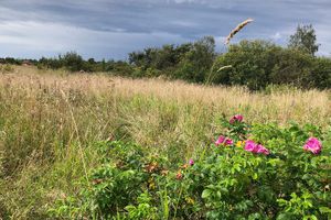 Продам земельный участок, на улице Старая мельница снт, г. Михайловка, Курская обл., Россия, агентство Интернет-партнер Продам земельный участок, на улице Старая мельница снт, г. Михайловка, Курская обл., Россия, агентство Интернет-партнер