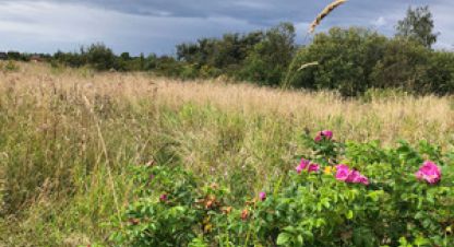 Продам земельный участок, на улице Старая мельница снт, г. Михайловка, Курская обл., Россия, агентство Интернет-партнер. Фотография №1