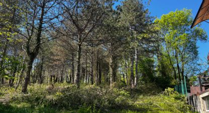 Купить земельный участок. Фотография №8 Купить земельный участок, Россия, г. Сочи. Фотография №8