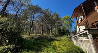 Продаётся земельный участок в г. Сочи. Фотография №6 Продаётся земельный участок в г. Сочи. Фотография №6