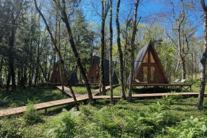 Продам земельный участок, на улице Ю снт, Лазаревский район, г. Сочи, Краснодарский край, Россия, агентство Интернет-партнер