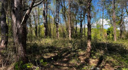 Купить земельный участок. Фотография №10 Купить земельный участок, Россия, г. Сочи. Фотография №10