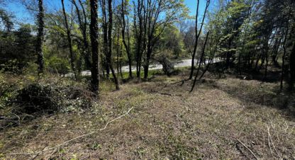 Продаётся земельный участок в г. Сочи. Фотография №7 Продаётся земельный участок в г. Сочи. Фотография №7