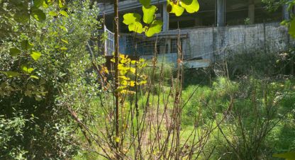 Купить земельный участок на улице Ю снт г. Сочи. Фотография №5 Купить земельный участок на улице Ю снт г. Сочи. Фотография №5