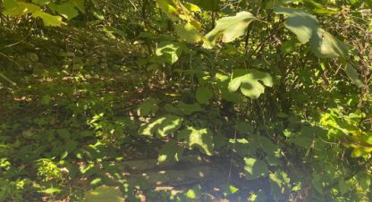 Купить земельный участок. Фотография №9 Купить земельный участок, Россия, г. Сочи. Фотография №9