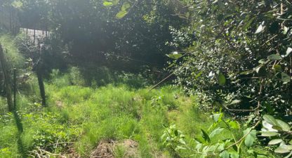 Купить земельный участок в г. Сочи. Фотография №3 Купить земельный участок в г. Сочи. Фотография №3