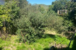 Продам земельный участок, на улице Ю снт, Лазаревский район, г. Сочи, Краснодарский край, Россия, агентство Интернет-партнер