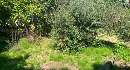 Купить земельный участок в г. Сочи. Фотография №2 Купить земельный участок в г. Сочи. Фотография №2