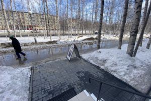 Продам торговое помещение с общей площадью 46м2, на улице Победы пр-кт, г. Нижневартовск, Ханты-Мансийский авт. окр., Россия, агентство Интернет-партнер Продам торговое помещение с общей площадью 46м2, на улице Победы пр-кт, г. Нижневартовск, Ханты-Мансийский авт. окр., Россия, агентство Интернет-партнер