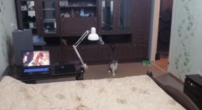 Продаётся квартира в г. Алексин. Фотография №7 Продаётся квартира в г. Алексин. Фотография №7