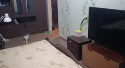 Купить 1 комнатную квартиру на улице 50 лет влксм ул г. Алексин. Фотография №4 Купить 1 комнатную квартиру на улице 50 лет влксм ул г. Алексин. Фотография №4