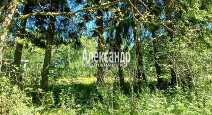 Продаётся 2-х комнатная дом в г. Мошнино. Фотография №6 Продаётся 2-х комнатная дом в г. Мошнино. Фотография №6