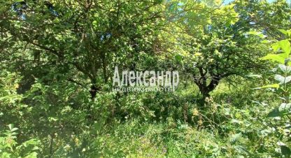 Купить 2-х комнатную дом на улице Хитрово ул г. Мошнино. Фотография №4 Купить 2-х комнатную дом на улице Хитрово ул г. Мошнино. Фотография №4