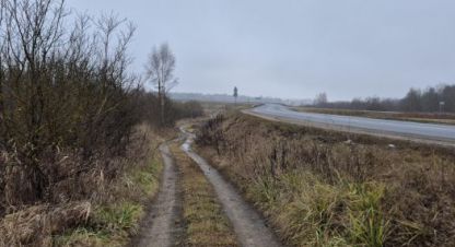 Купить земельный участок в г. Красное. Фотография №3