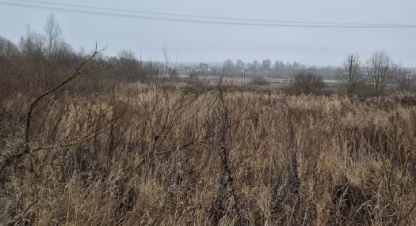 Купить земельный участок в г. Красное. Фотография №2