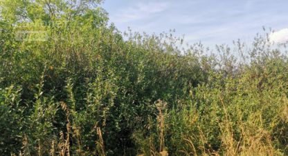 Купить земельный участок г. Ольховка. Фотография №4