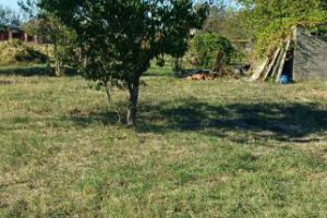 Продам земельный участок, на улице Прямая ул, г. Дорошенко х, Адыгея респ., Россия, агентство Мореон Инвест Продам земельный участок, на улице Прямая ул, г. Дорошенко х, Адыгея респ., Россия, агентство Мореон Инвест