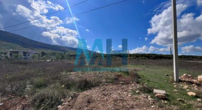 Купить земельный участок, Россия, г. Родниковое . Фотография №10