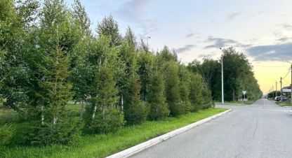 Купить коттедж/дачу на улице Нежинская г. Посёлок ный. Фотография №5