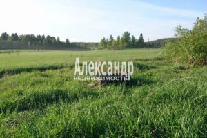 Продам земельный участок, на улице Алховская, г. Куркиеки пос, Карелия респ., Россия, агентство Интернет-партнер Продам земельный участок, на улице Алховская, г. Куркиеки пос, Карелия респ., Россия, агентство Интернет-партнер