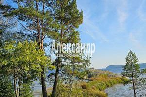 Продам земельный участок, на улице Сот солнечное снт, г. Сот солнечное, Карелия респ., Россия, агентство Интернет-партнер Продам земельный участок, на улице Сот солнечное снт, г. Сот солнечное, Карелия респ., Россия, агентство Интернет-партнер