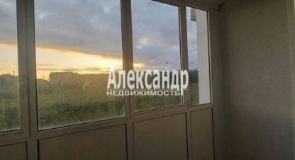 Купить квартиру в г. Янино-1. Фотография №2 Купить квартиру в г. Янино-1. Фотография №2