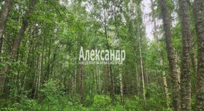 Купить дом г. Васильево. Фотография №5 Купить дом г. Васильево. Фотография №5