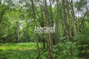 Продам дом 1 комнатный с общей площадью 32м2, г. Васильево, Ленинградская обл., Россия, агентство Интернет-партнер Продам дом 1 комнатный с общей площадью 32м2, г. Васильево, Ленинградская обл., Россия, агентство Интернет-партнер