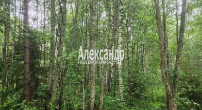 Купить 1 комнатную дом г. Васильево. Фотография №4 Купить 1 комнатную дом г. Васильево. Фотография №4