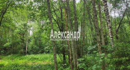 Купить дом 1 комнатную, 32 кв. м. Фотография №1 Продам дом 1 комнатный с общей площадью 32м2, г. Васильево, Ленинградская обл., Россия, агентство Интернет-партнер. Фотография №1