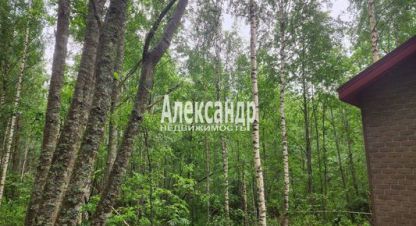 Продаётся 1 комнатная дом в г. Васильево. Фотография №6 Продаётся 1 комнатная дом в г. Васильево. Фотография №6