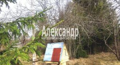 Купить земельный участок. Фотография №8 Купить земельный участок, Россия, г. Массив мшинская. Фотография №8