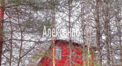 Купить земельный участок в г. Массив мшинская. Фотография №2 Купить земельный участок в г. Массив мшинская. Фотография №2