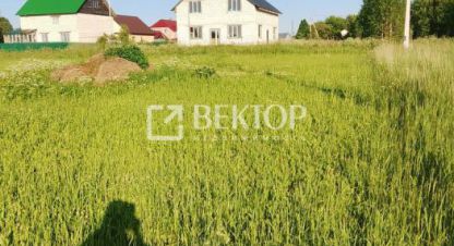 Продаётся земельный участок в г. Рабочий посёлок борисоглебский. Фотография №7 Продаётся земельный участок в г. Рабочий посёлок борисоглебский. Фотография №7