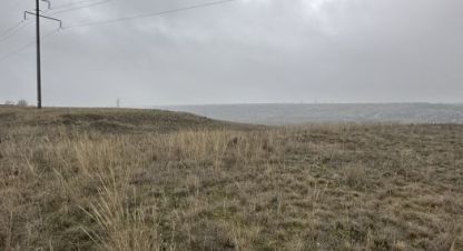 Купить земельный участок на улице Рубиновая г. Царицын. Фотография №5