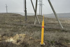 Продам земельный участок, на улице Рубиновая, г. Царицын, Волгоградская обл., Россия, агентство Живем Дома